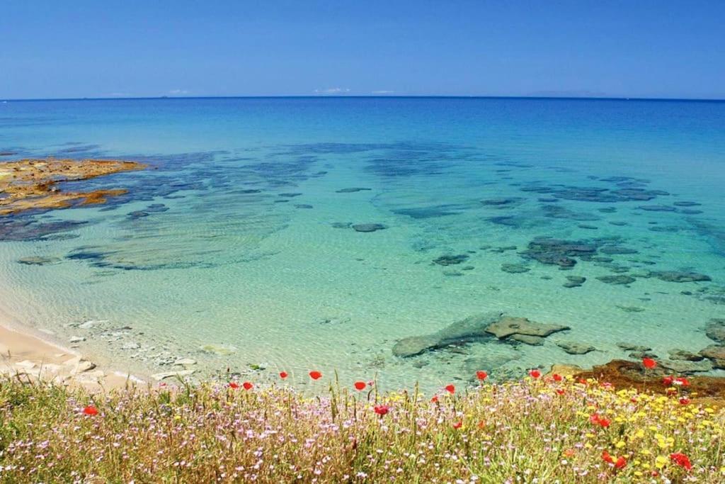 Appartamento - Il Paradiso - Where Dreams True